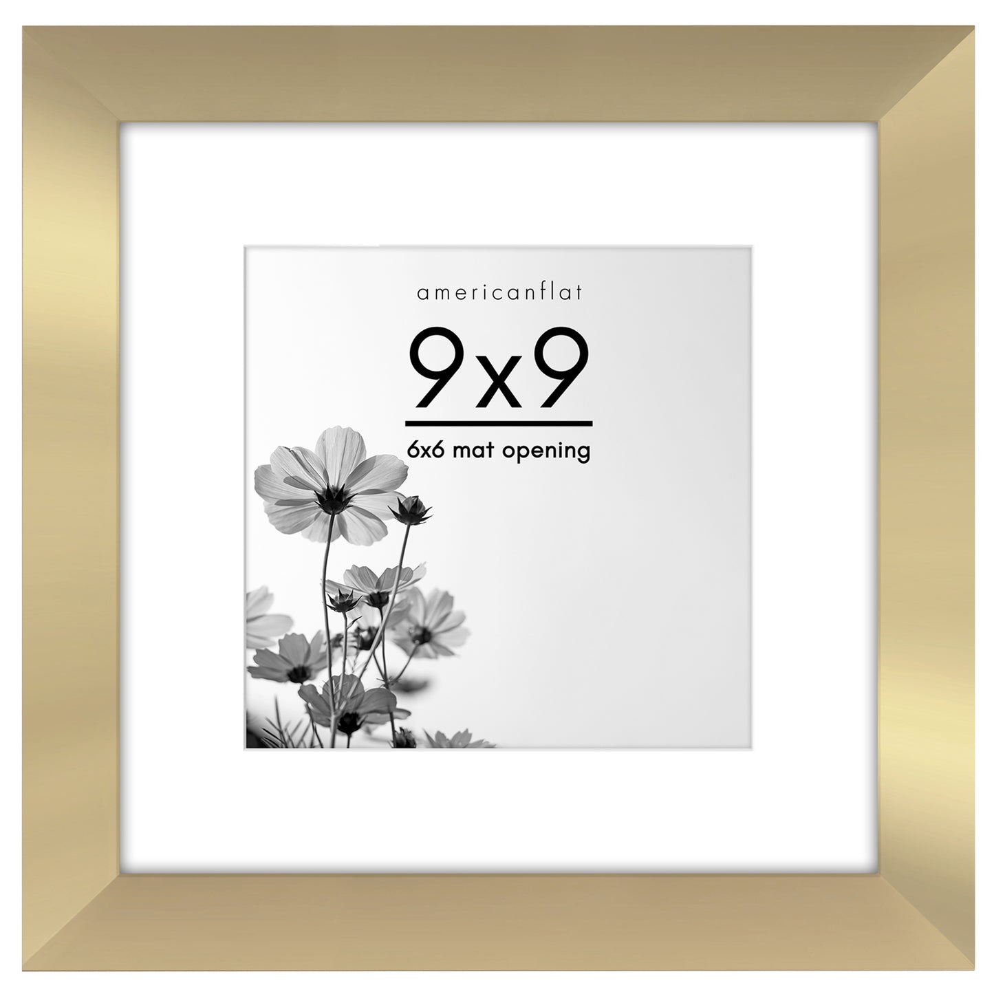 Gallery Picture Frame with Mat | Hudson Collection