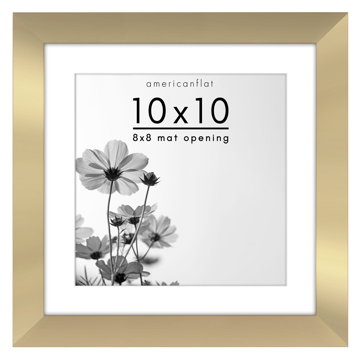 Gallery Picture Frame with Mat | Hudson Collection