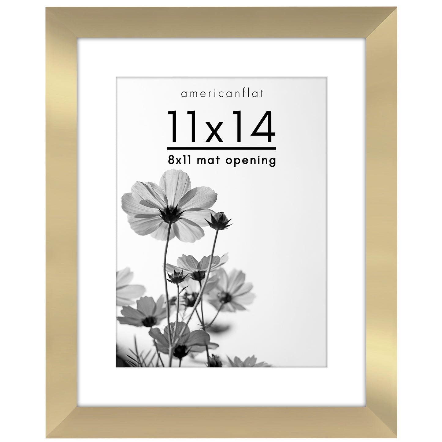 Gallery Picture Frame with Mat | Hudson Collection