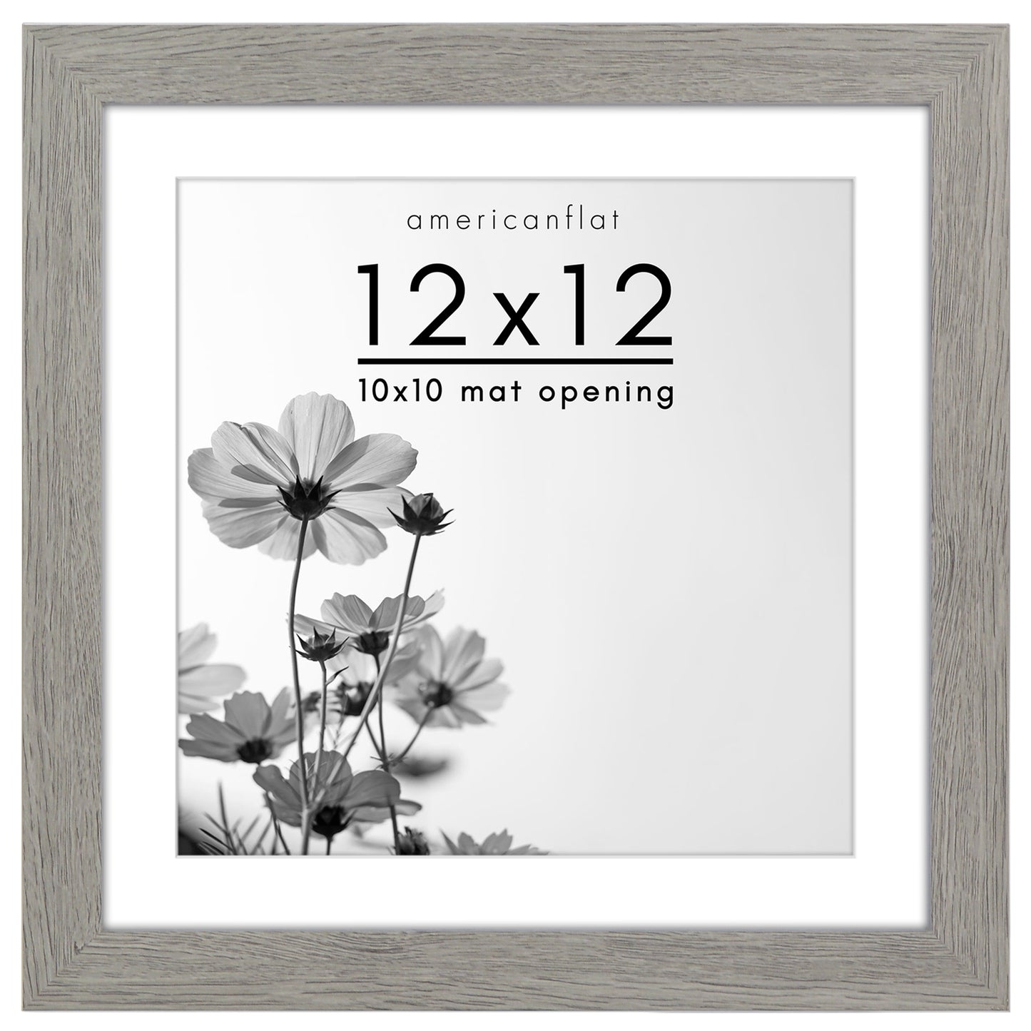 Gallery Picture Frame with Mat | Hudson Collection