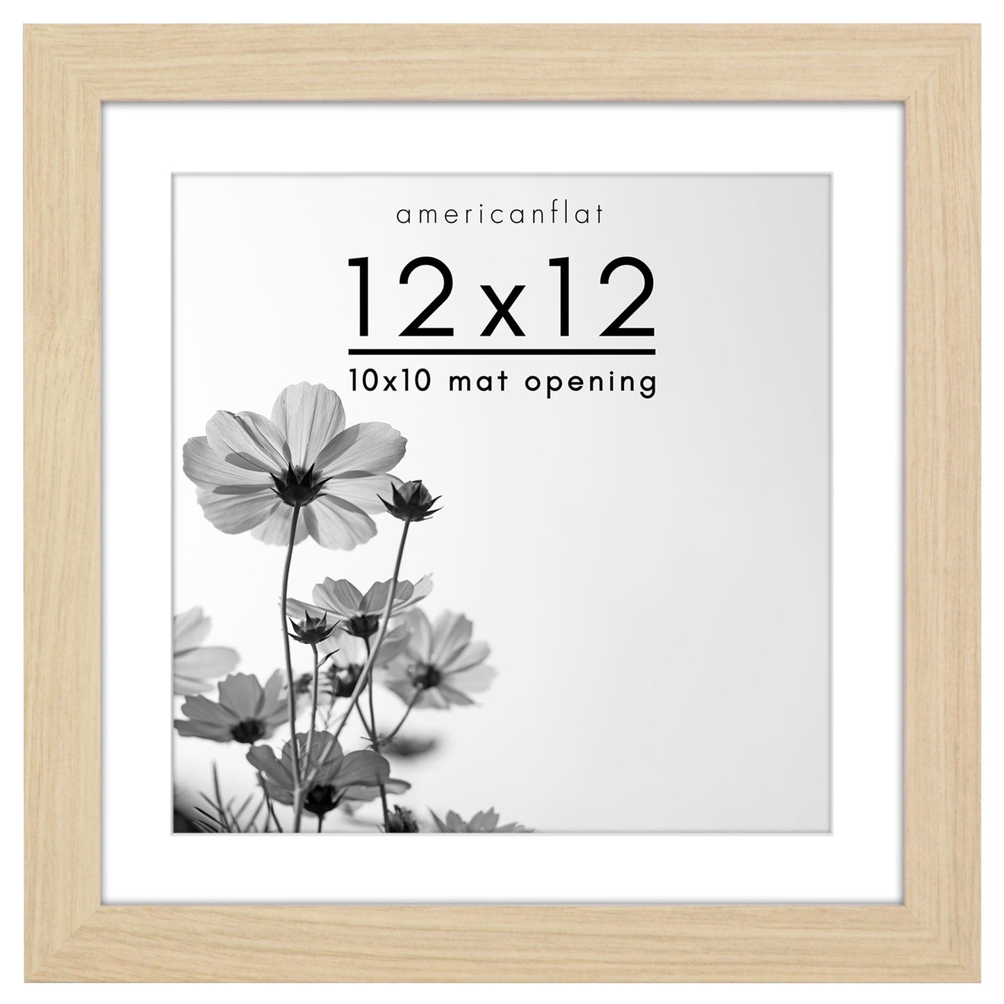 Gallery Picture Frame with Mat | Hudson Collection