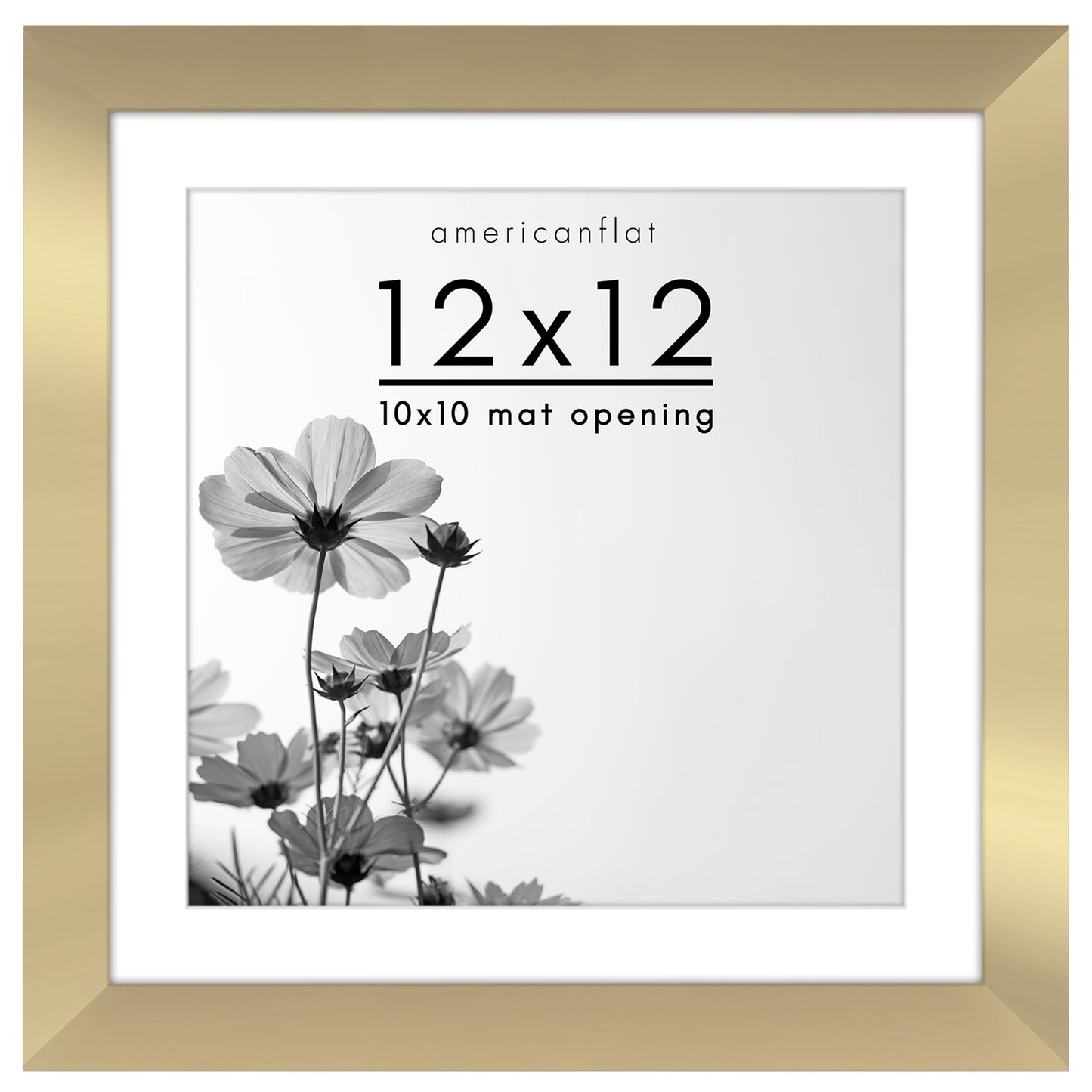Gallery Picture Frame with Mat | Hudson Collection
