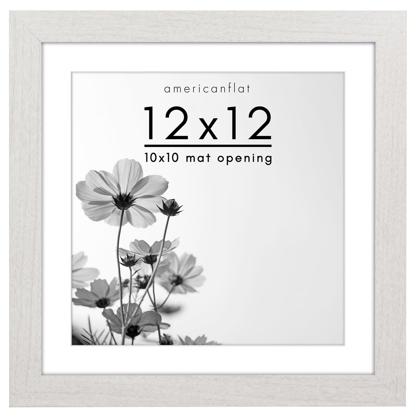 Gallery Picture Frame with Mat | Hudson Collection