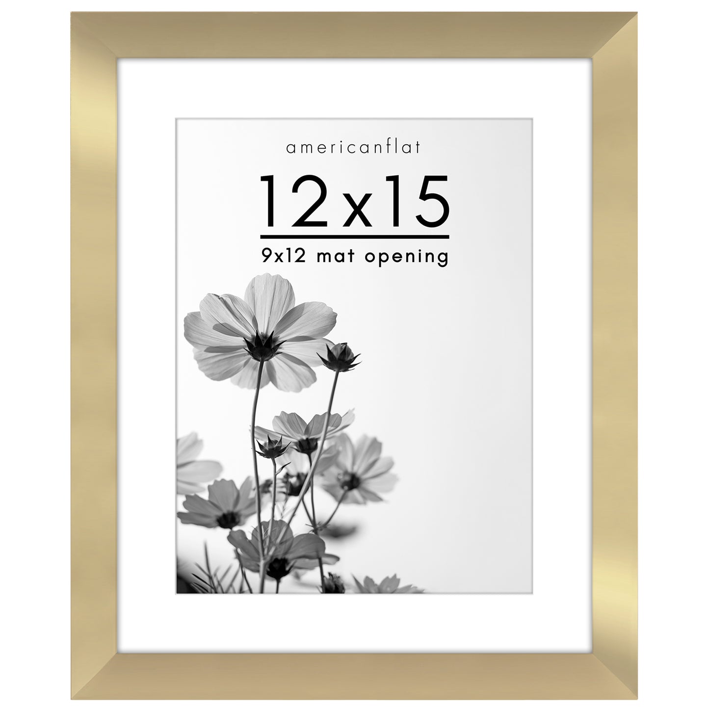 Gallery Picture Frame with Mat | Hudson Collection