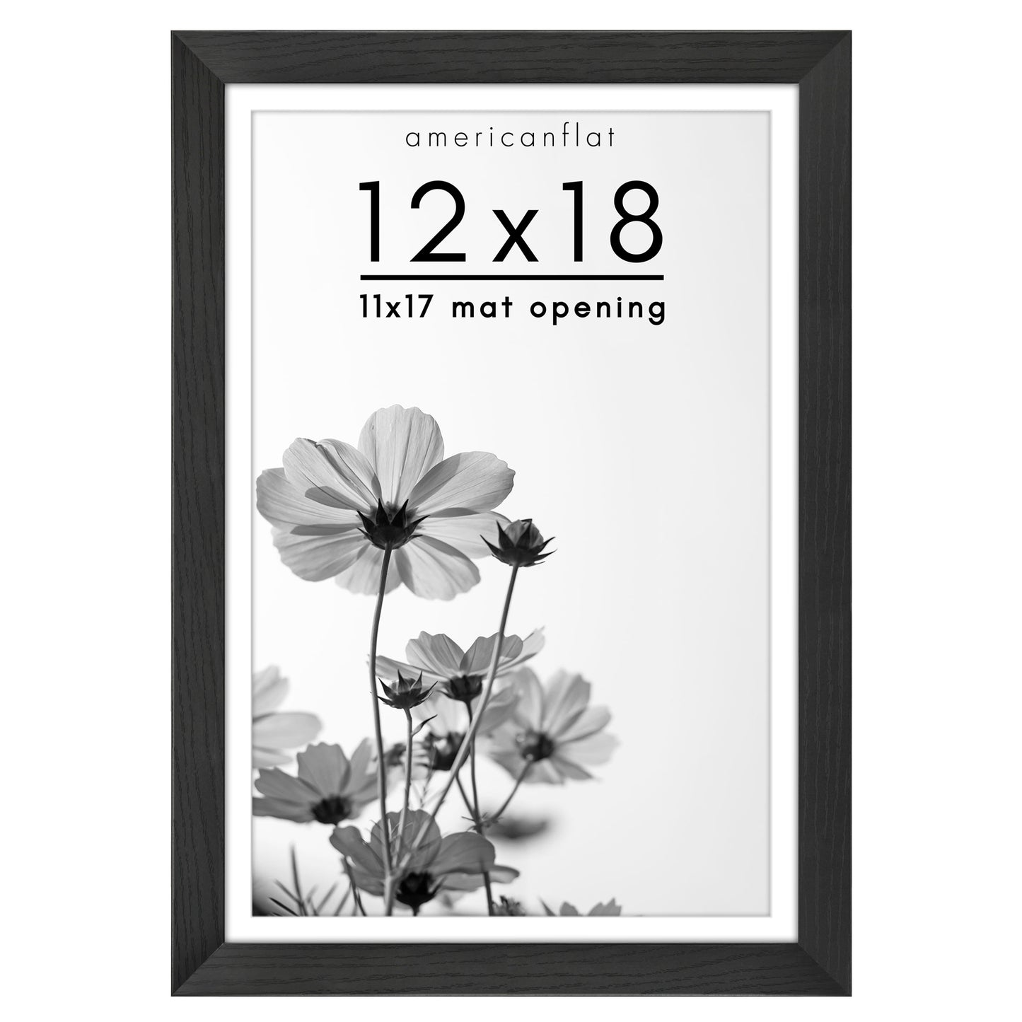 Wide Frame Picture Frame with Mat | Choose Your Size and Color