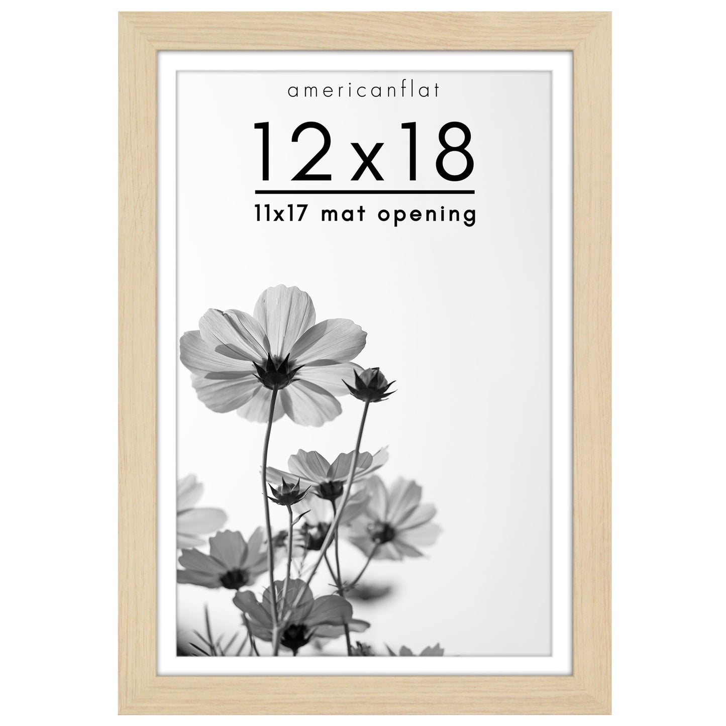 Oversized Gallery Picture Frame with Mat | Hudson Collection