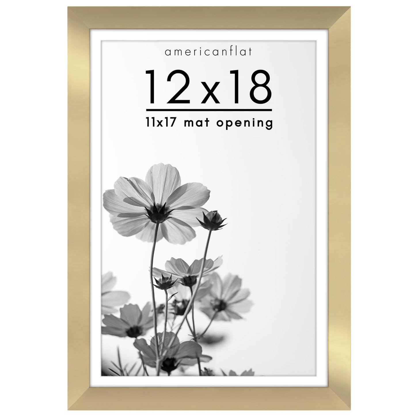 Oversized Gallery Picture Frame with Mat | Hudson Collection