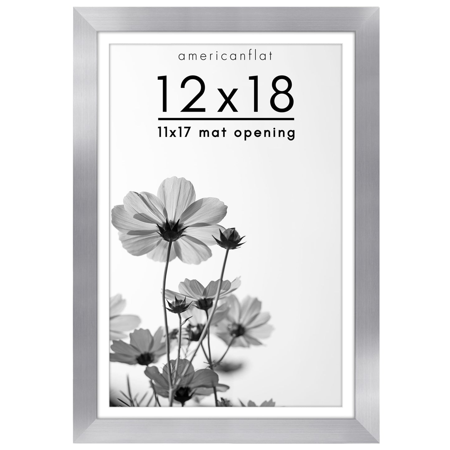 Oversized Gallery Picture Frame with Mat | Hudson Collection