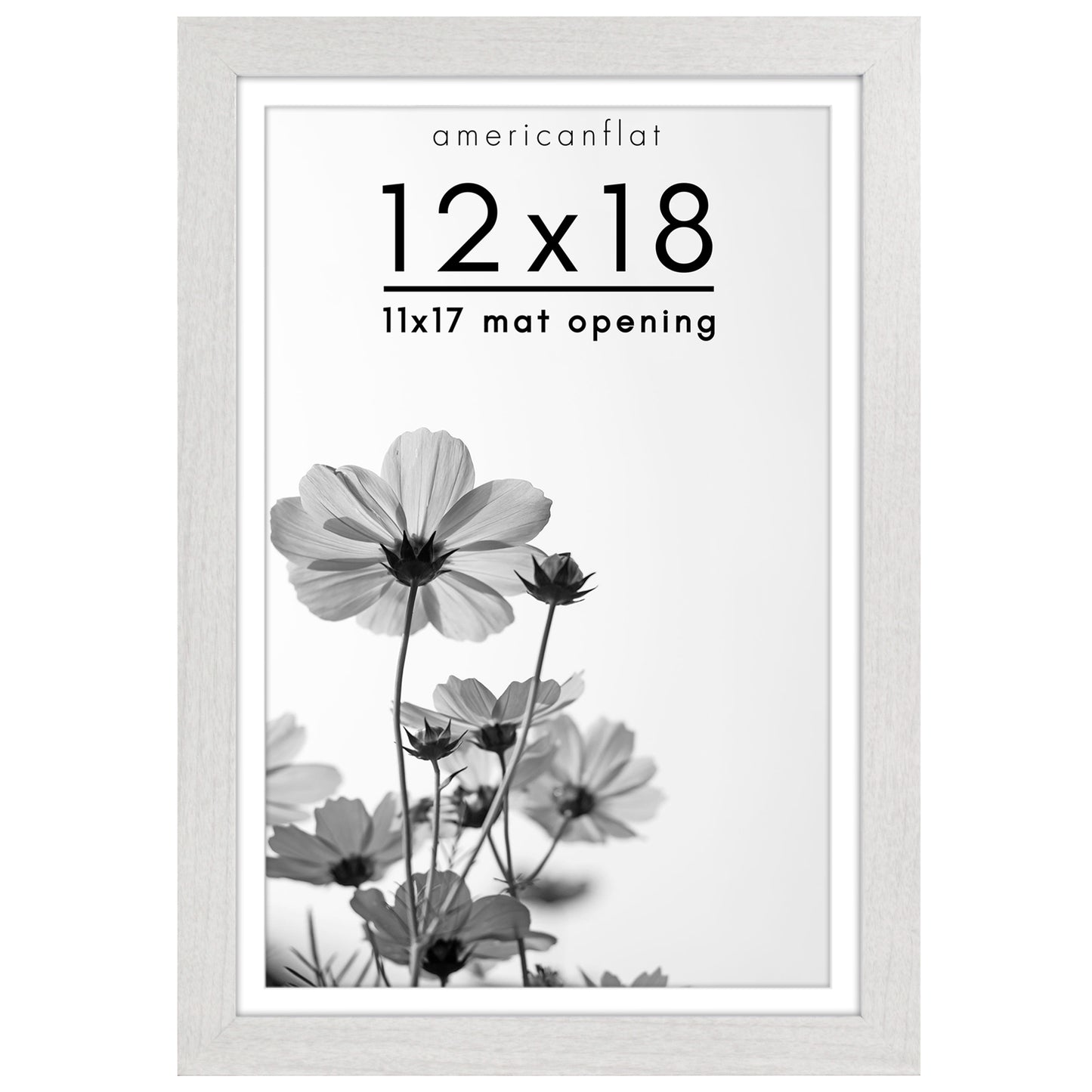 Oversized Gallery Picture Frame with Mat | Hudson Collection