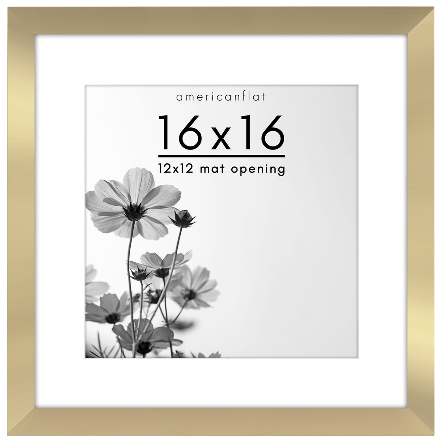 Oversized Gallery Picture Frame with Mat | Hudson Collection