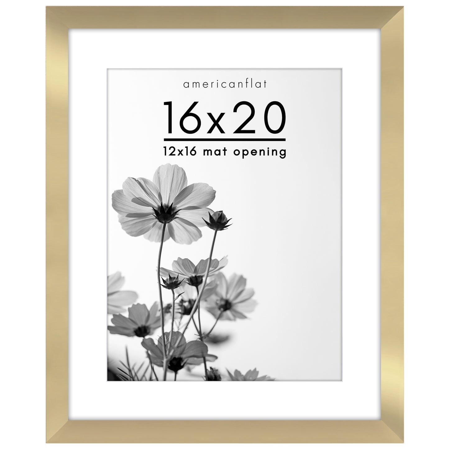 Oversized Gallery Picture Frame with Mat | Hudson Collection