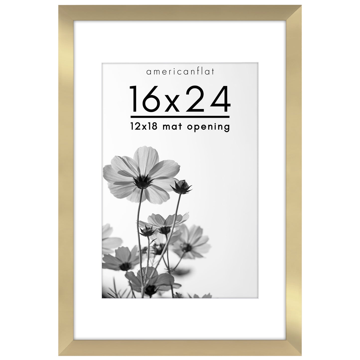 Oversized Gallery Picture Frame with Mat | Hudson Collection