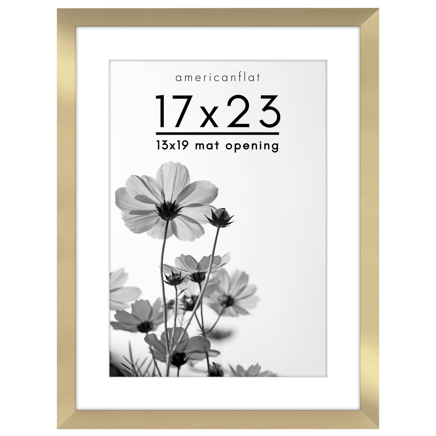 Oversized Gallery Picture Frame with Mat | Hudson Collection