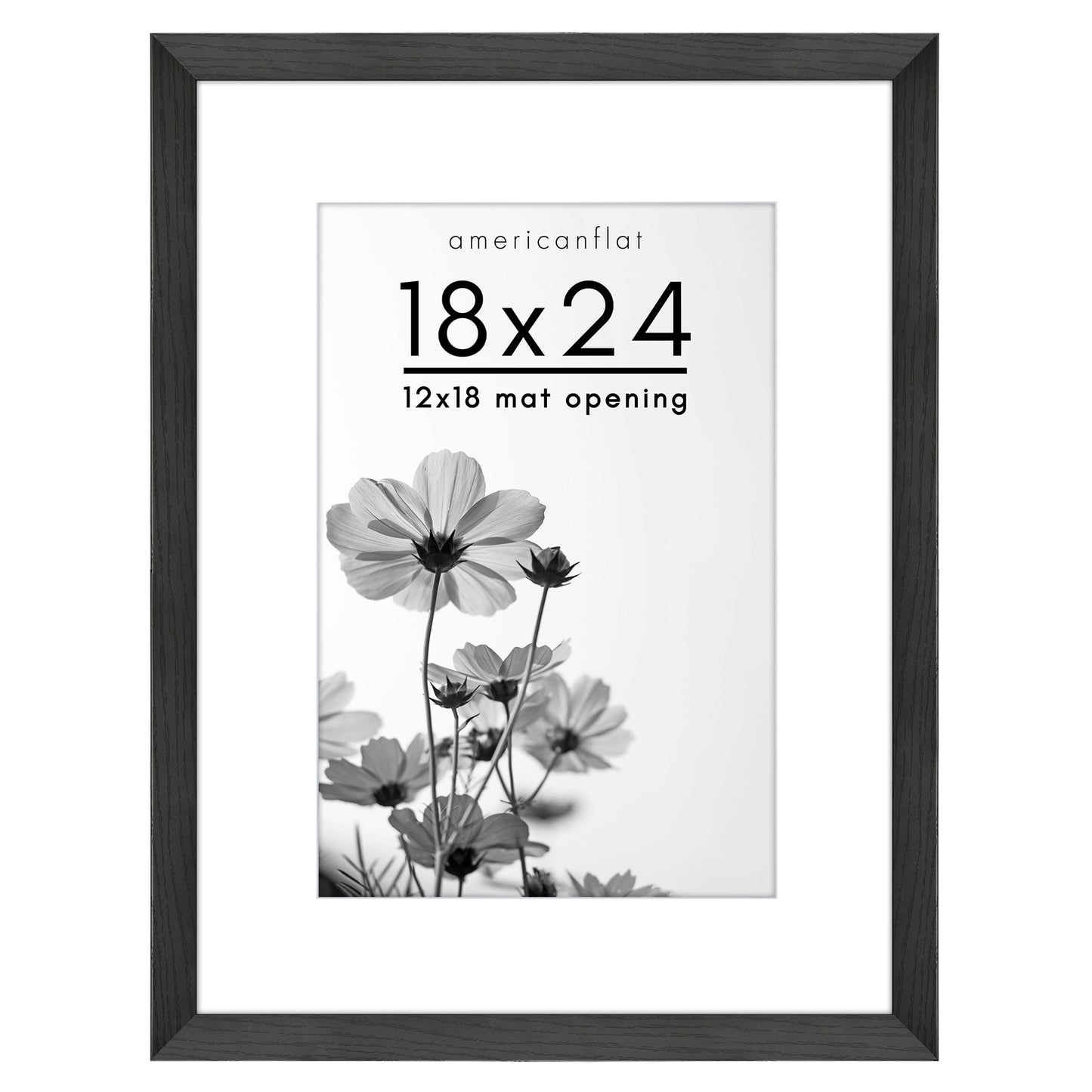 Oversized Gallery Picture Frame with Mat | Hudson Collection