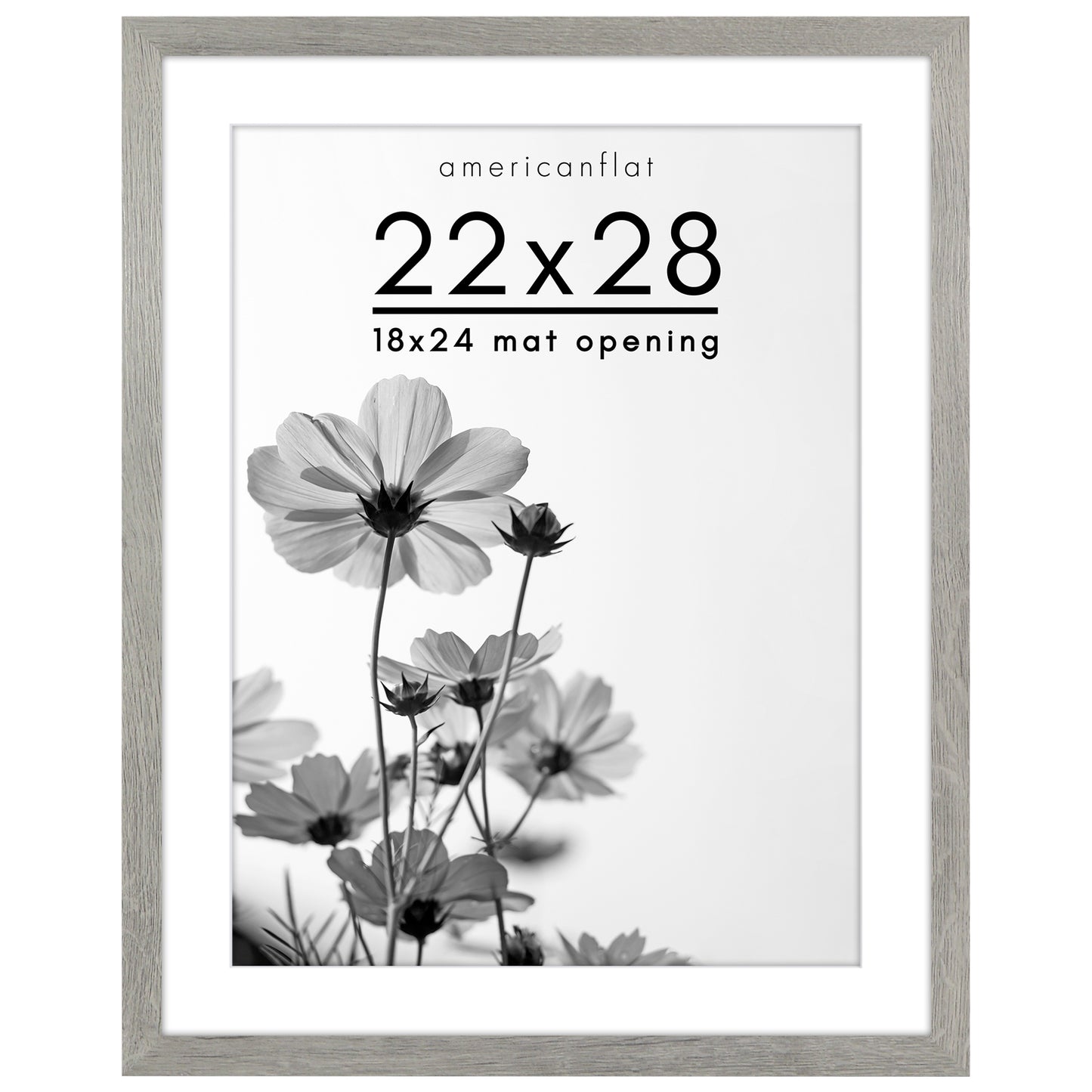 Oversized Gallery Picture Frame with Mat | Hudson Collection