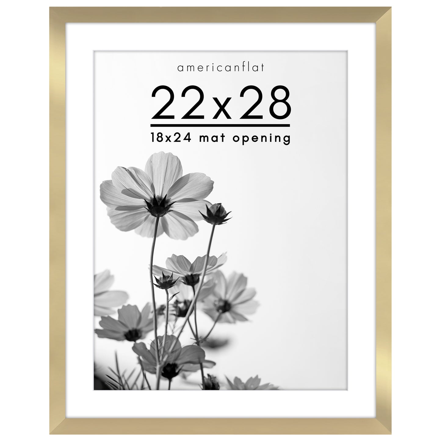 Oversized Gallery Picture Frame with Mat | Hudson Collection