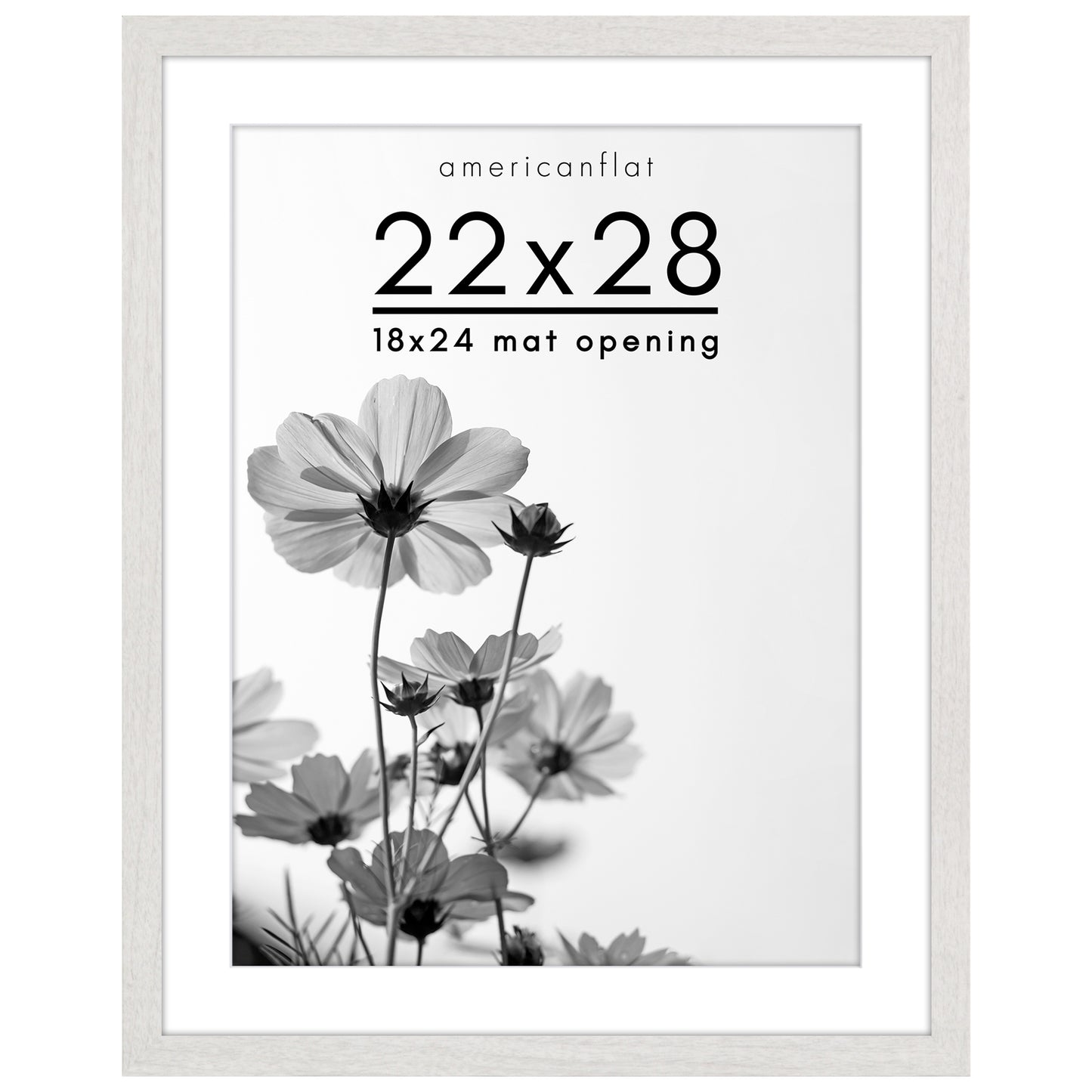 Oversized Gallery Picture Frame with Mat | Hudson Collection