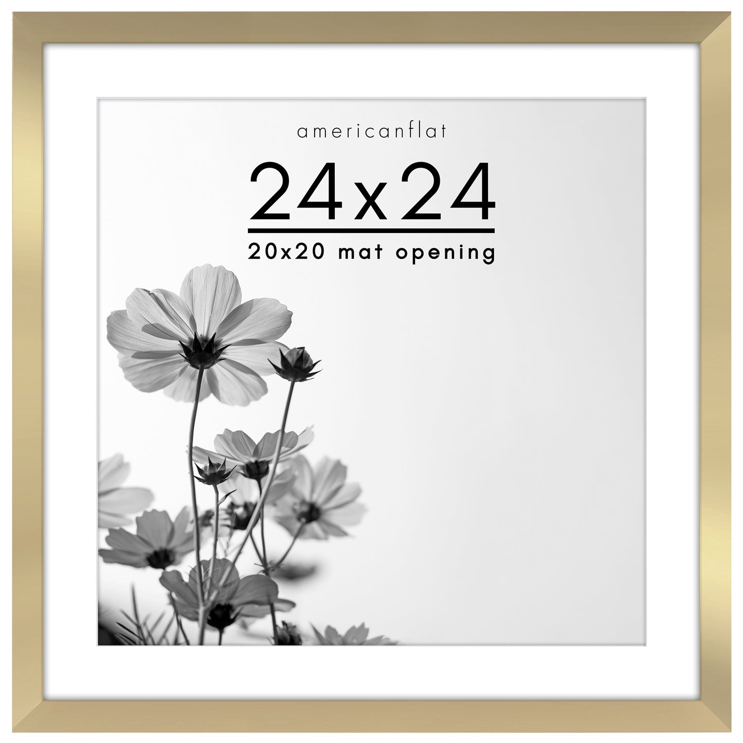 Oversized Gallery Picture Frame with Mat | Hudson Collection