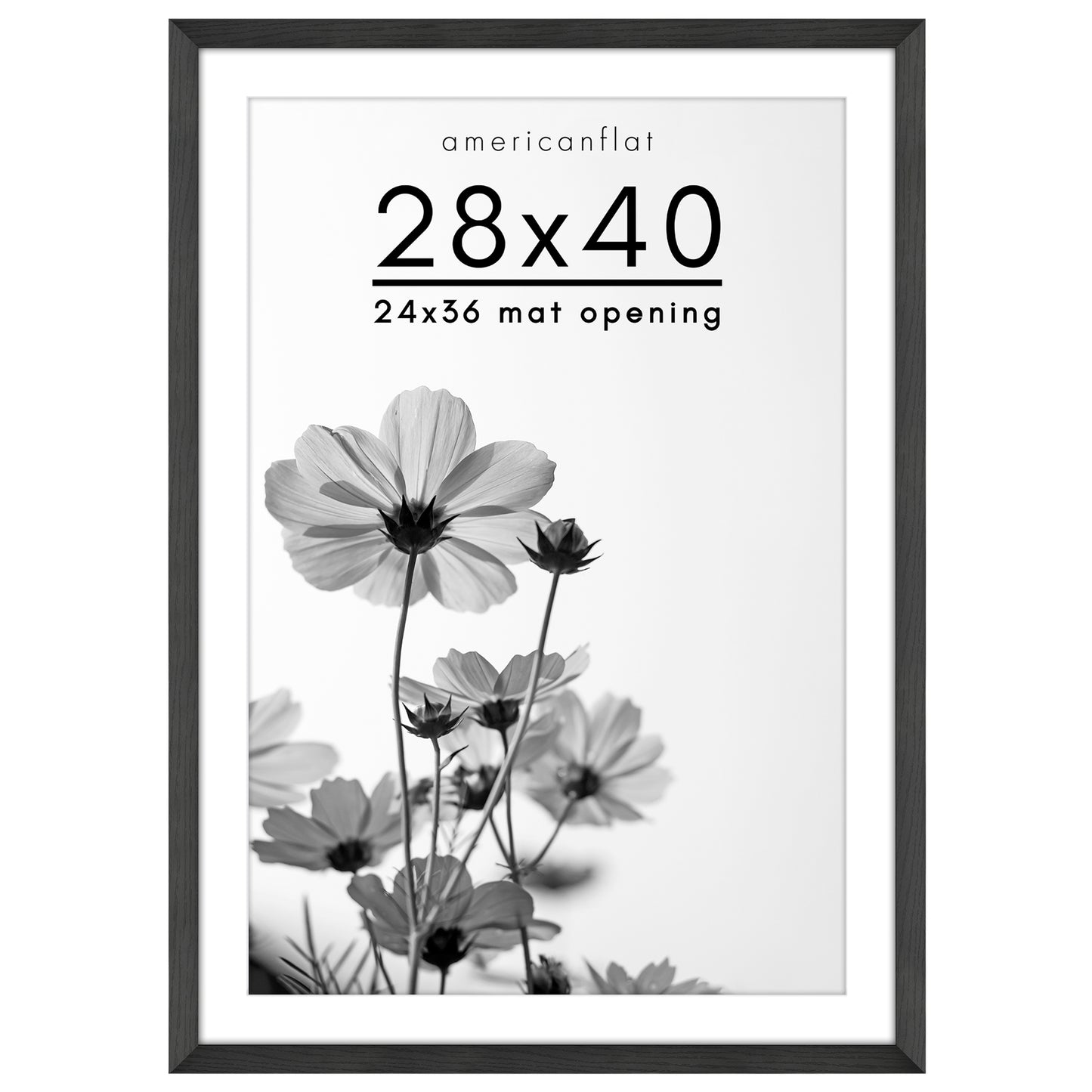 Oversized Gallery Picture Frame with Mat | Hudson Collection