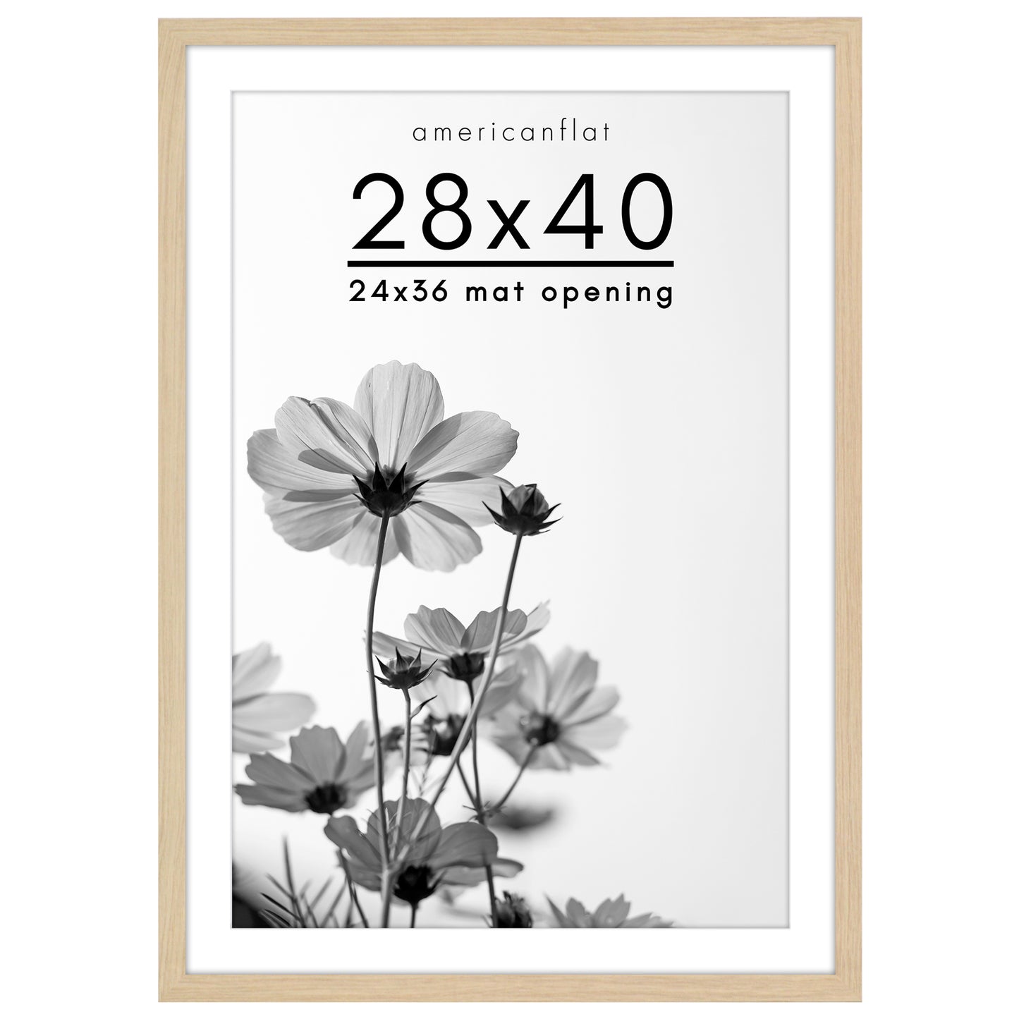 Oversized Gallery Picture Frame with Mat | Hudson Collection