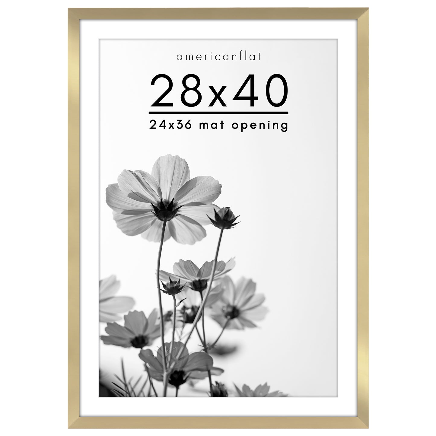 Oversized Gallery Picture Frame with Mat | Hudson Collection