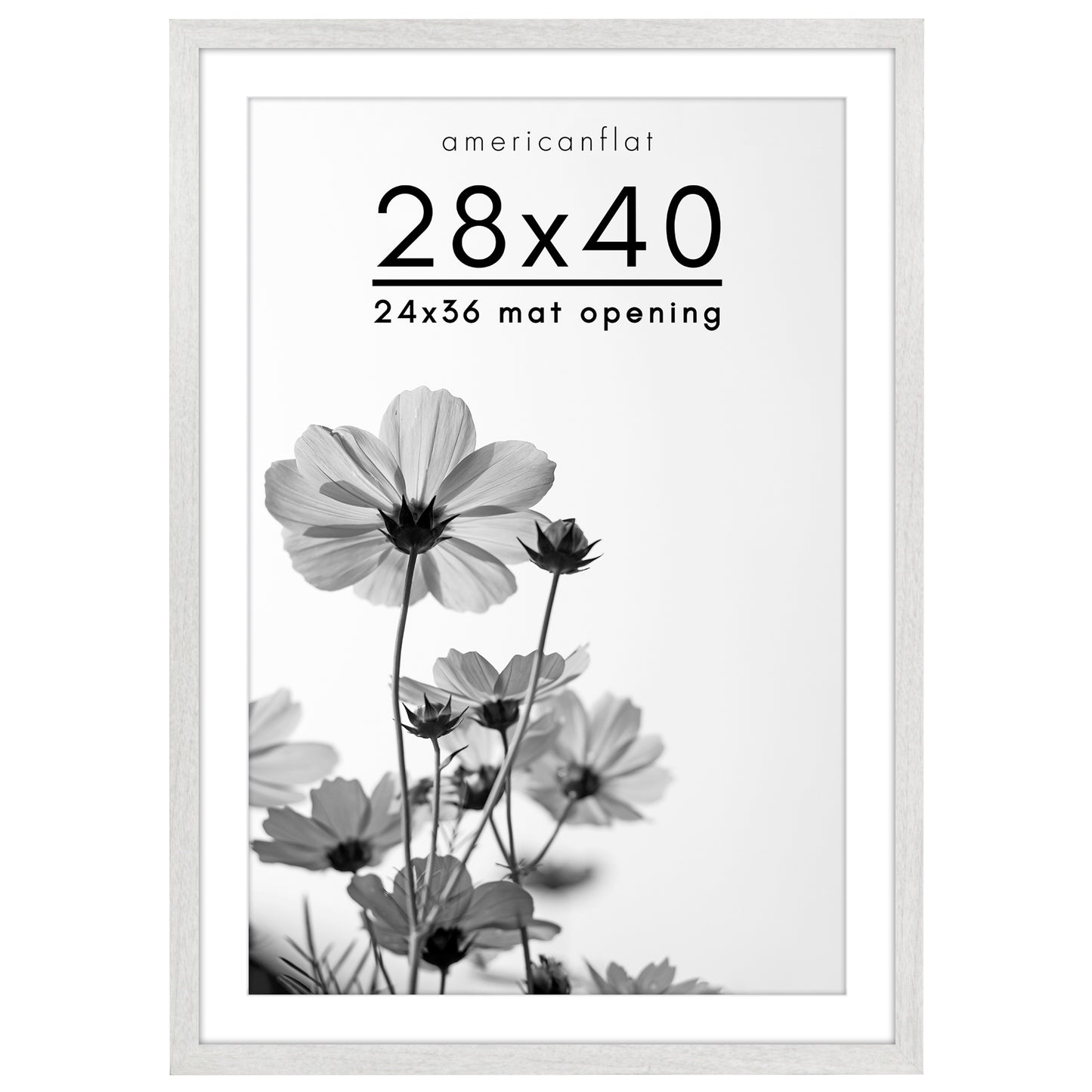Oversized Gallery Picture Frame with Mat | Hudson Collection