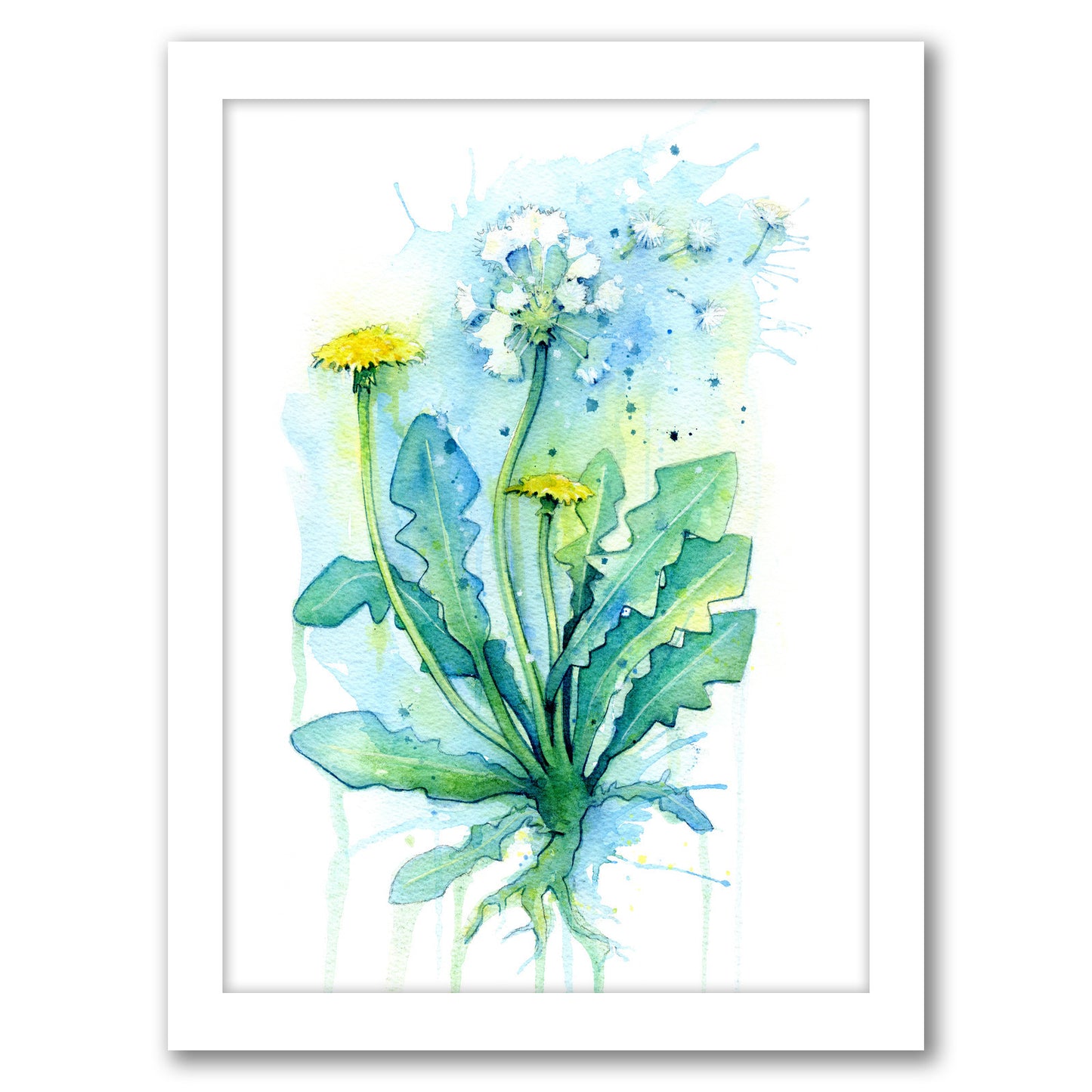 Dandelion by Sam Nagel - Framed Print