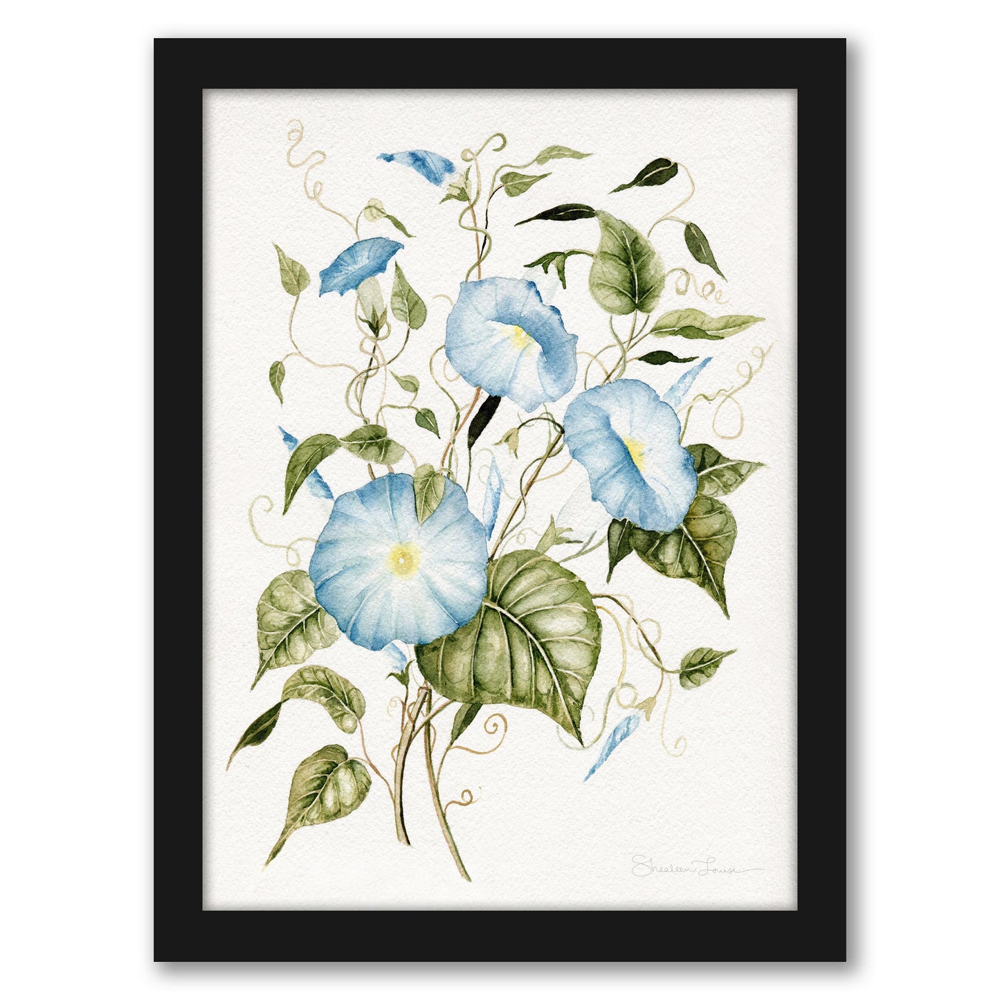 Morning Glories by Shealeen Louise - Framed Print