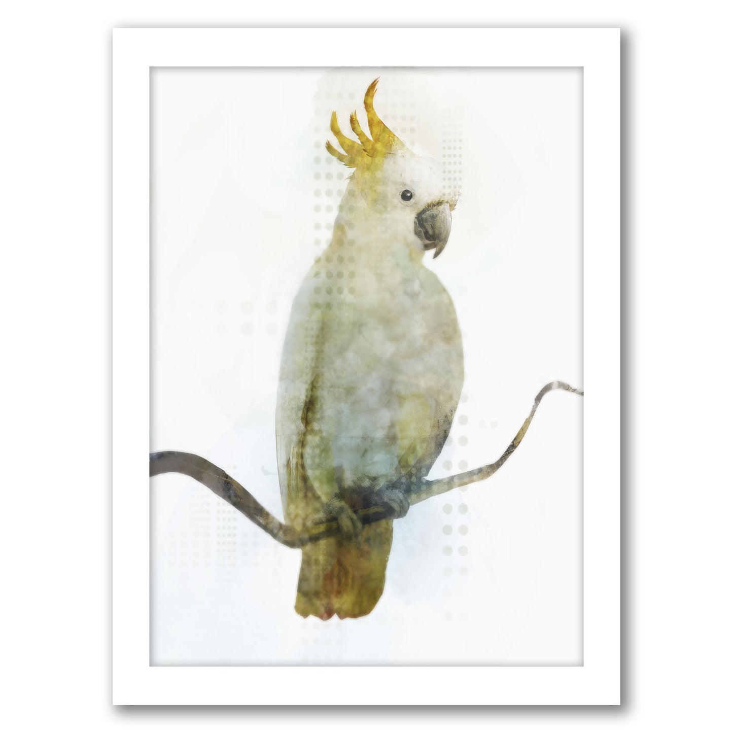 Cockatoo by PI Creative Art - Framed Print