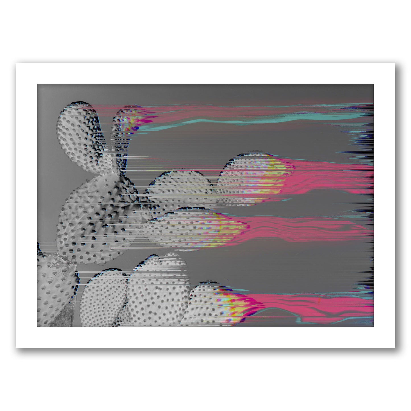 Glitched Cactus by Emanuela Carratoni - Framed Print