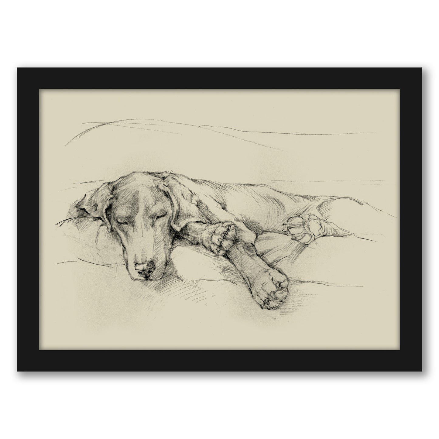 Dog Days II by Ethan Harper by World Art Group - Framed Print