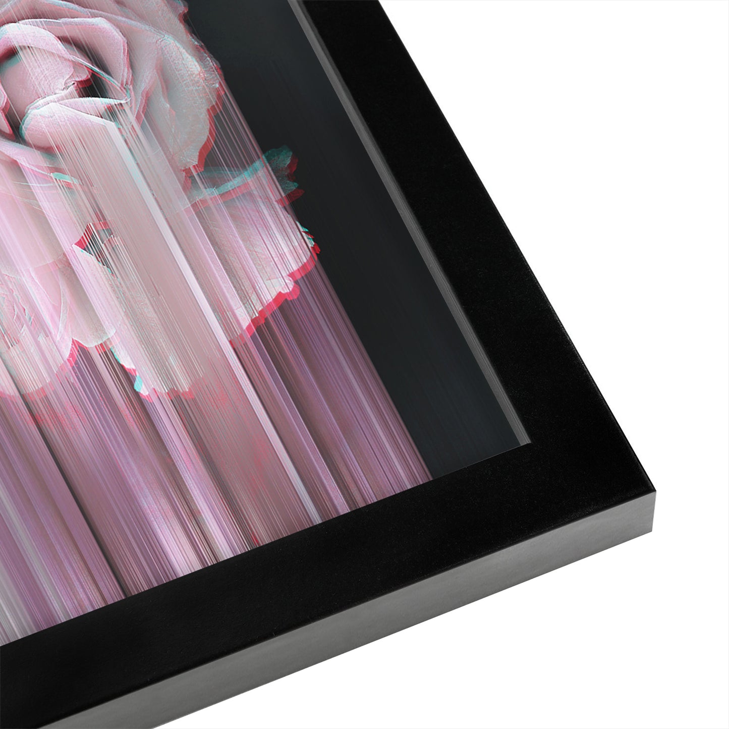 Fall In Rose by Emanuela Carratoni - Framed Print