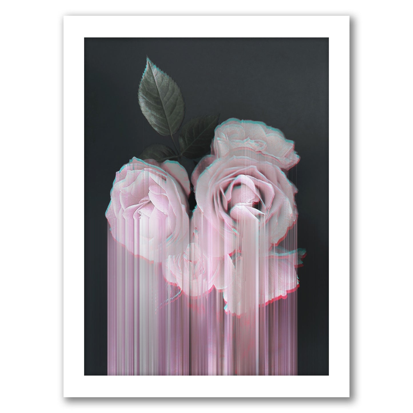 Fall In Rose by Emanuela Carratoni - Framed Print