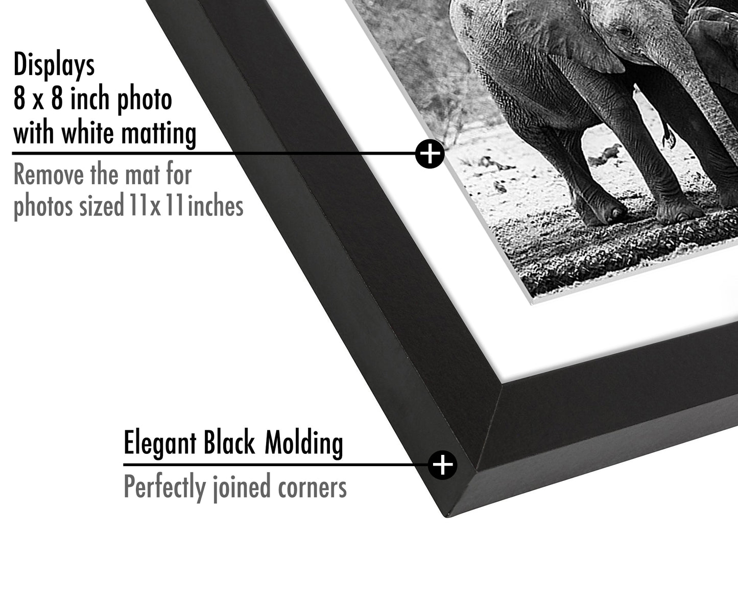 Picture Frame in Black with Lead Free Shatter Resistant Glass - Wall Mounted - 11" x 11" - Pack of 15 - Picture Frame - Americanflat