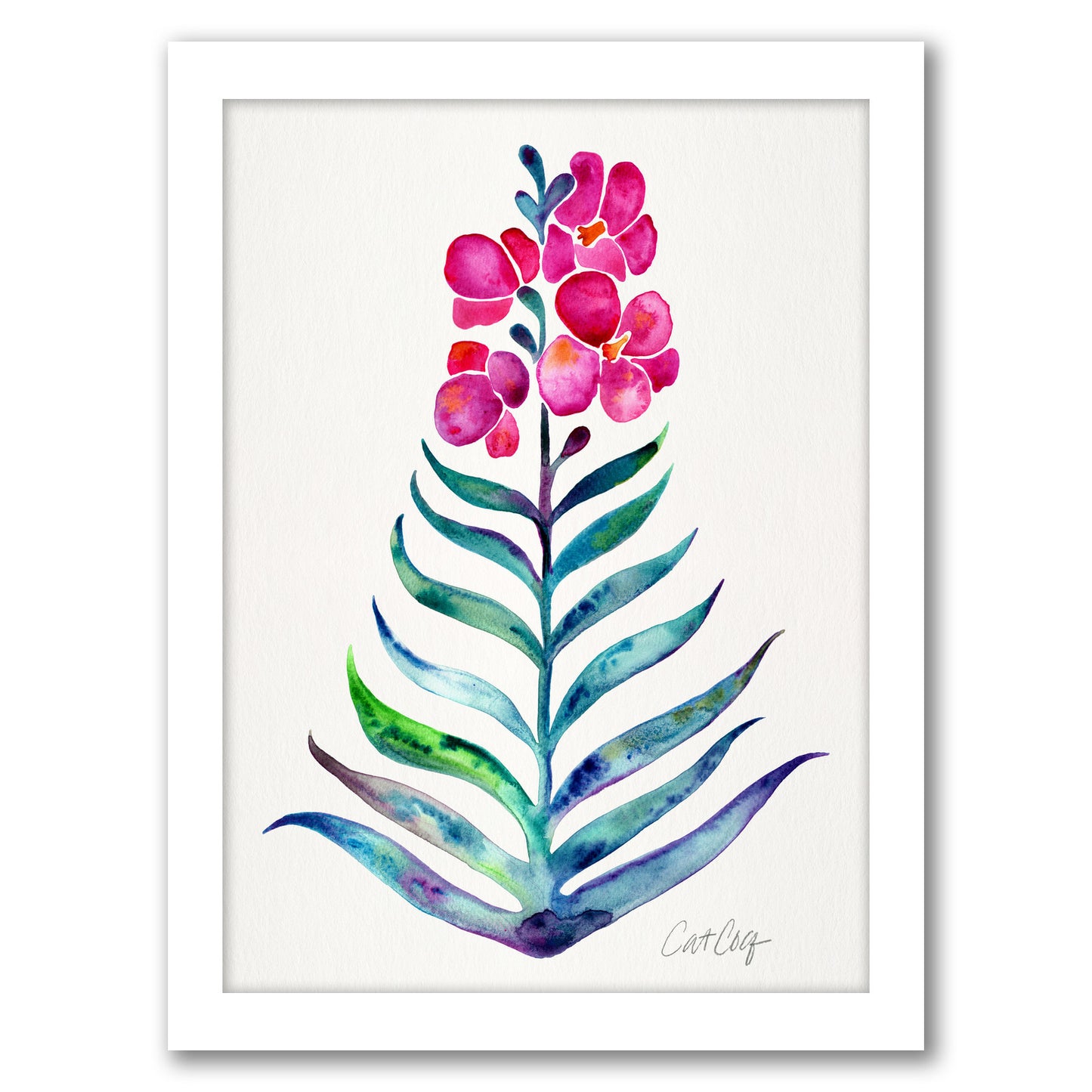 Blooming Orchid by Cat Coquillette Framed Print
