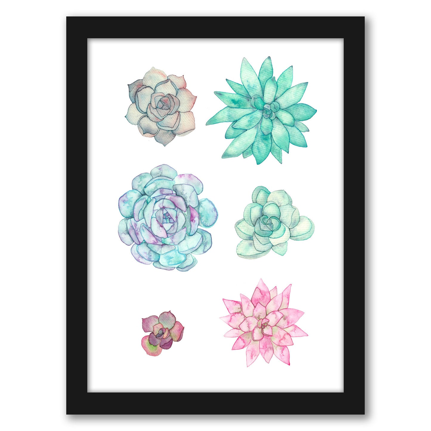 Succulent Print by Elena O'Neill Framed Print
