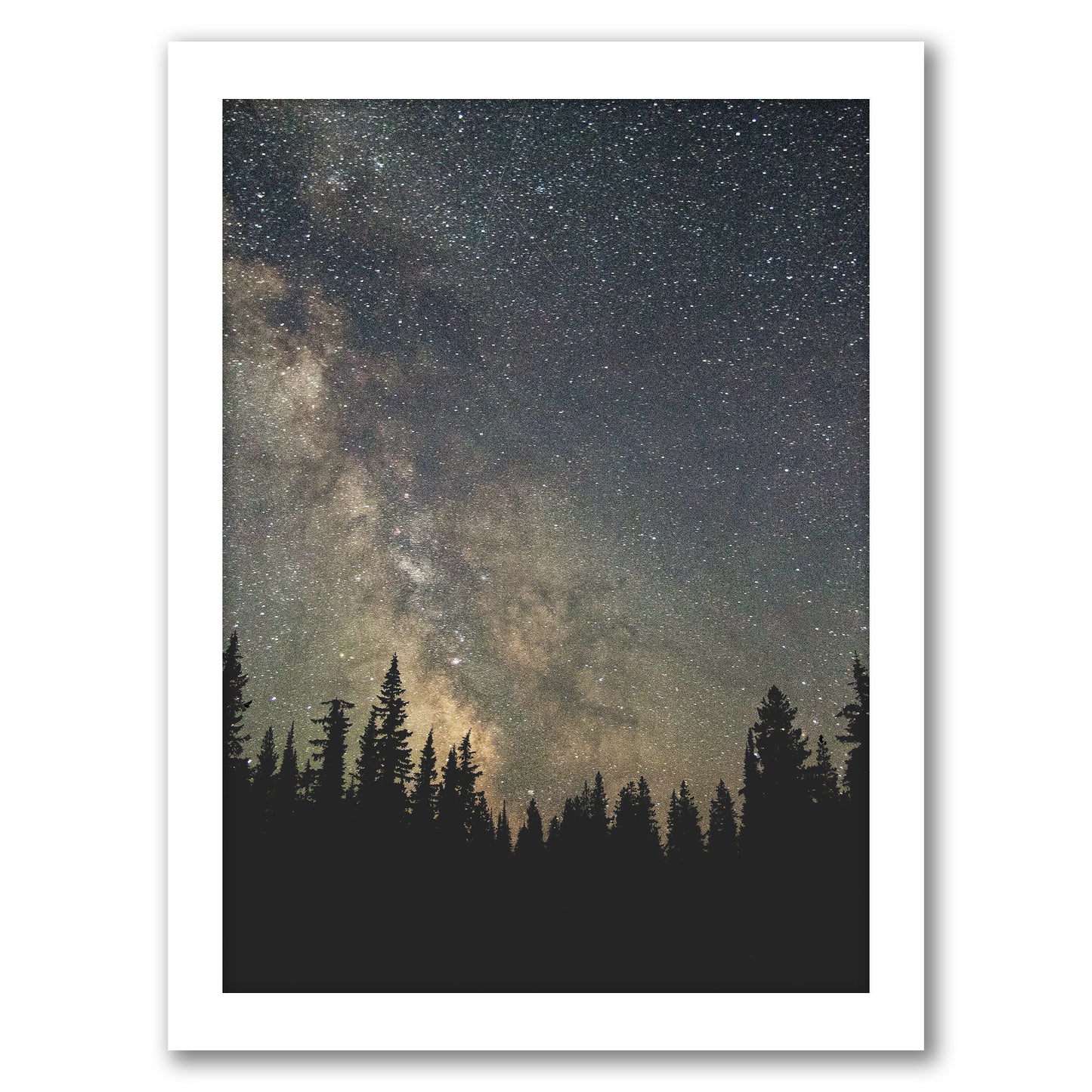 Stars Over The Forest Ii by Luke Gram - Framed Print