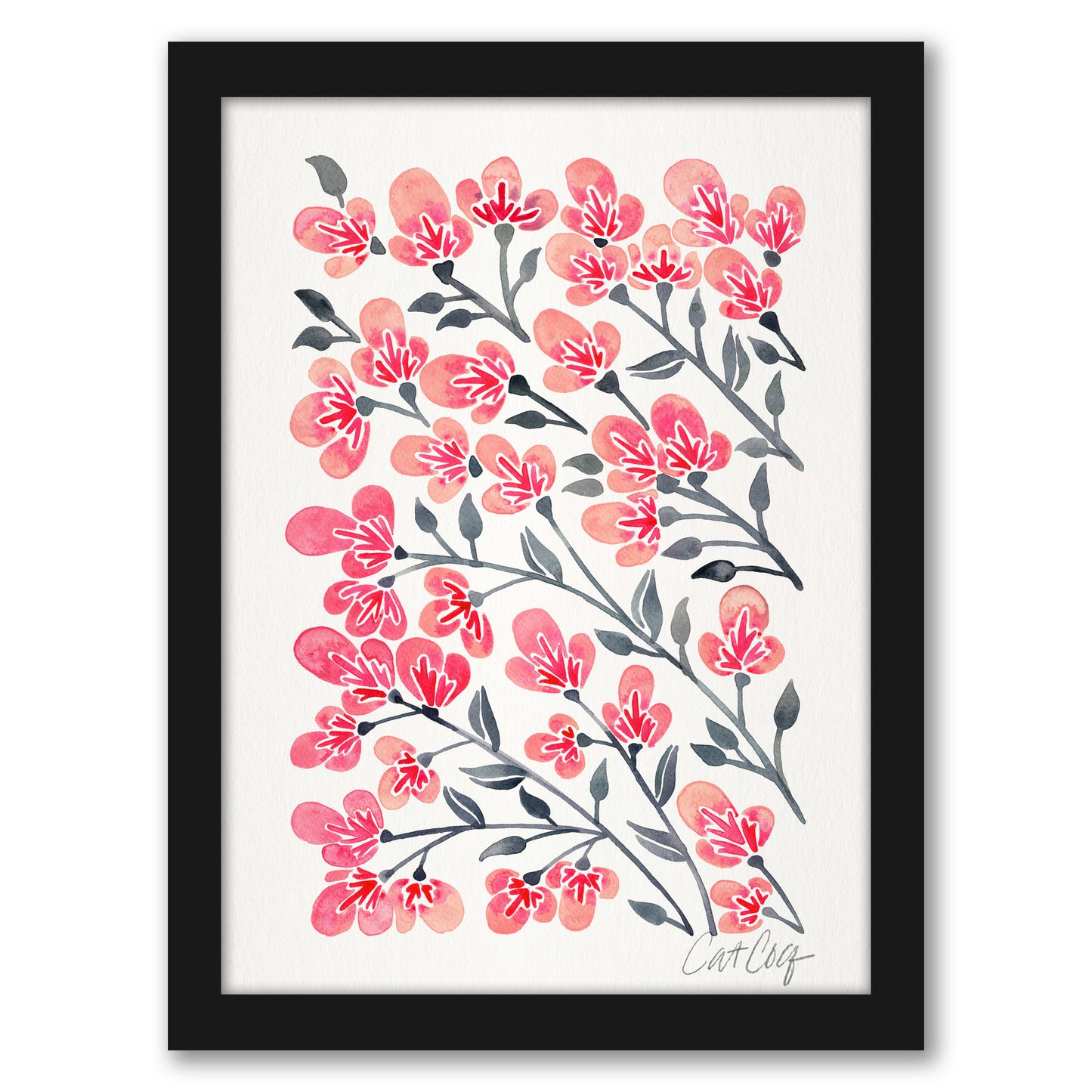 Cherry Blossoms by Cat Coquillette - Framed Print