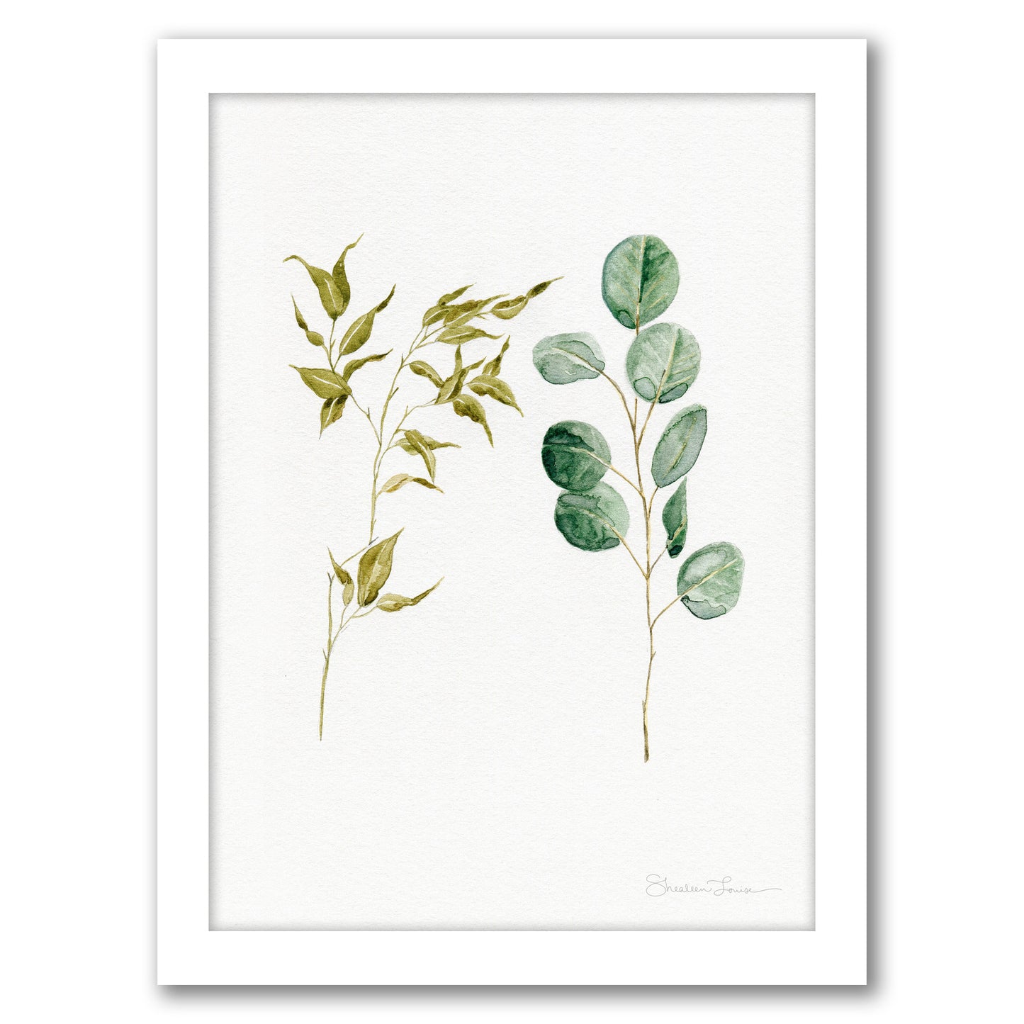 Two Eucalyptus Pieces by Shealeen Louise - Framed Print