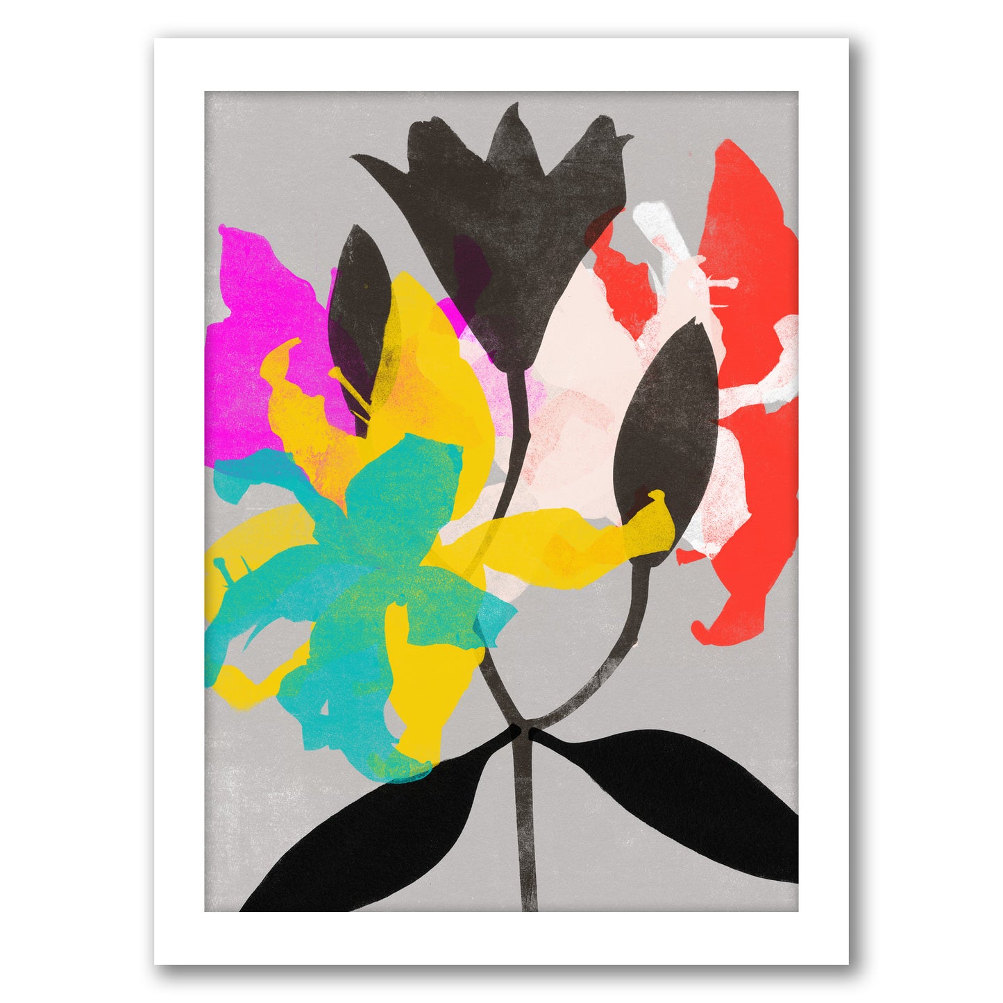 Lily 4 by Garima Dhawan - Framed Print