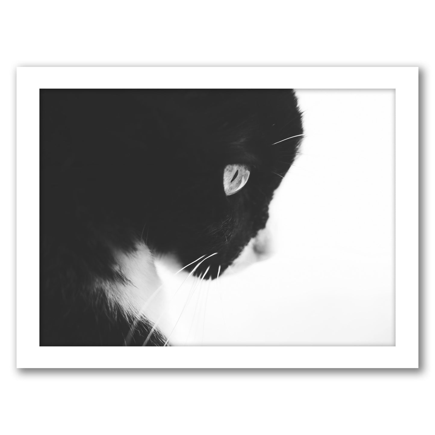 Day Dreaming Iii by Ingrid Beddoes - Framed Print