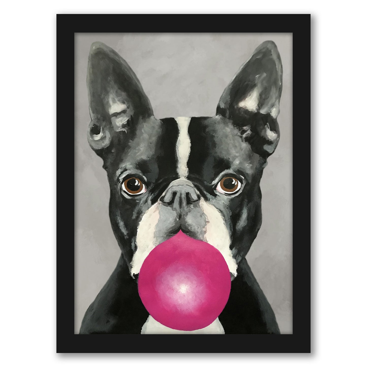 Boston Terrier With Bubblegum By Coco De Paris - Framed Print
