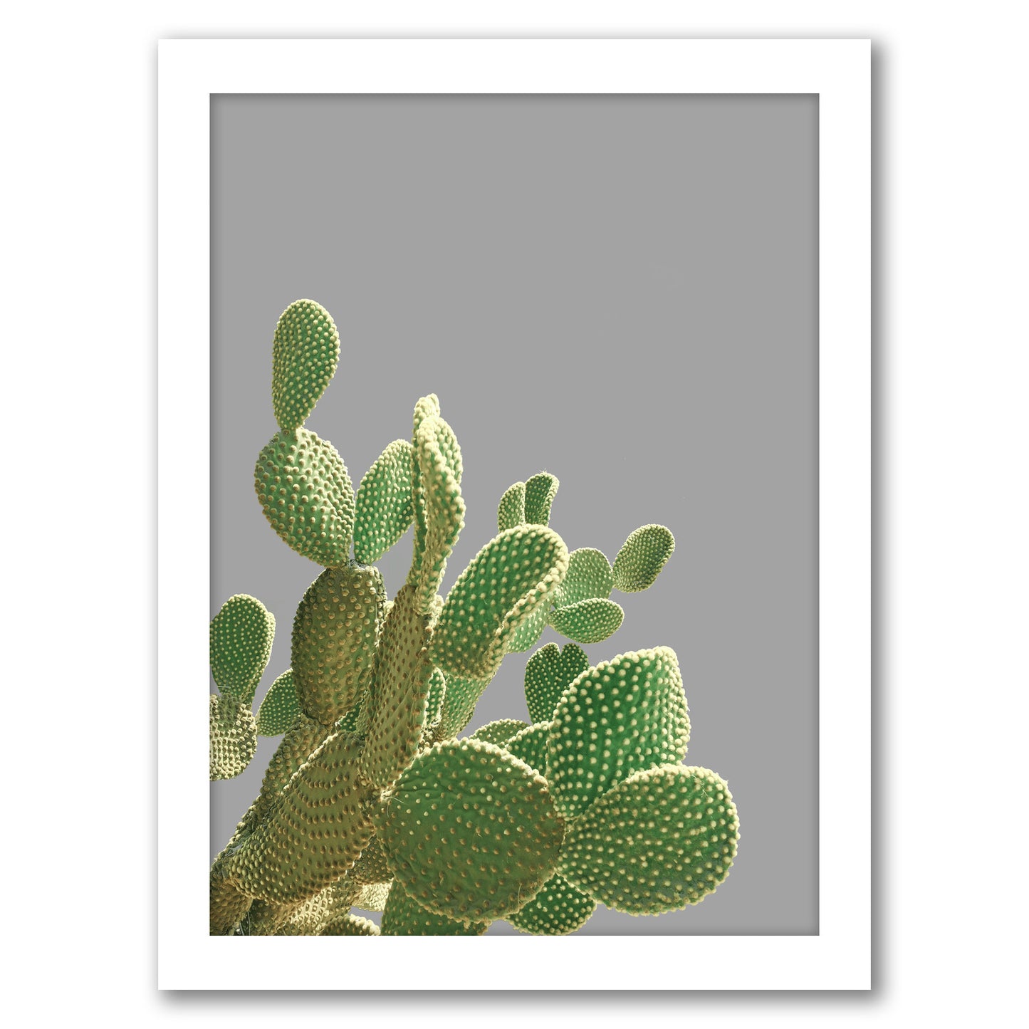 Minimal Cactus by Emanuela Carratoni - Framed Print
