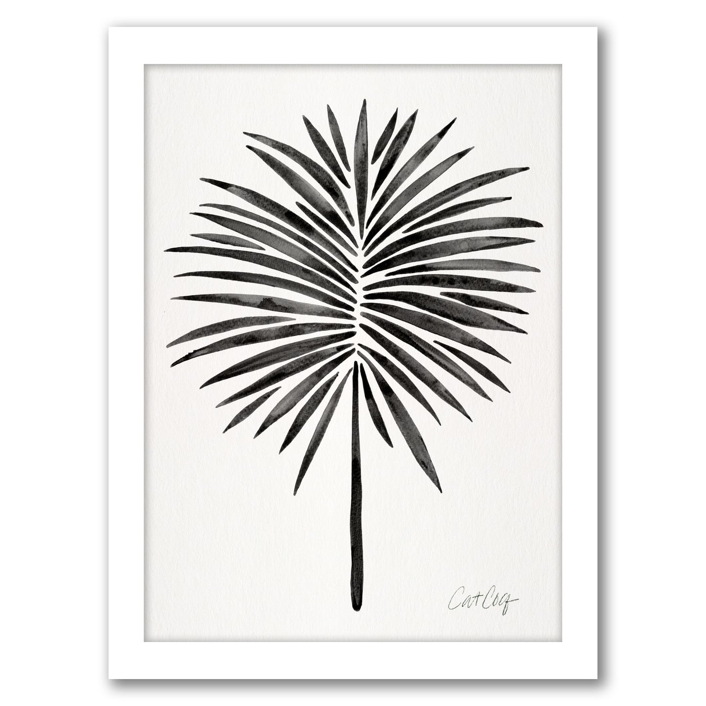 Black Fan Palm by Cat Coquillette - Framed Print