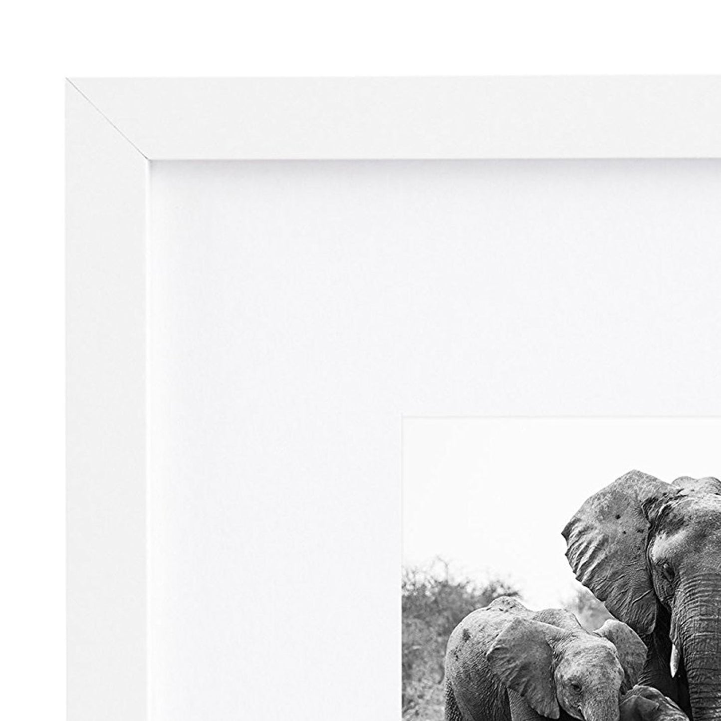 Picture Frame in White with Shatter Resistant Glass and Easel Stand for Wall and Tabletop - 8" x 8" - Pack of 15 - Picture Frame - Americanflat