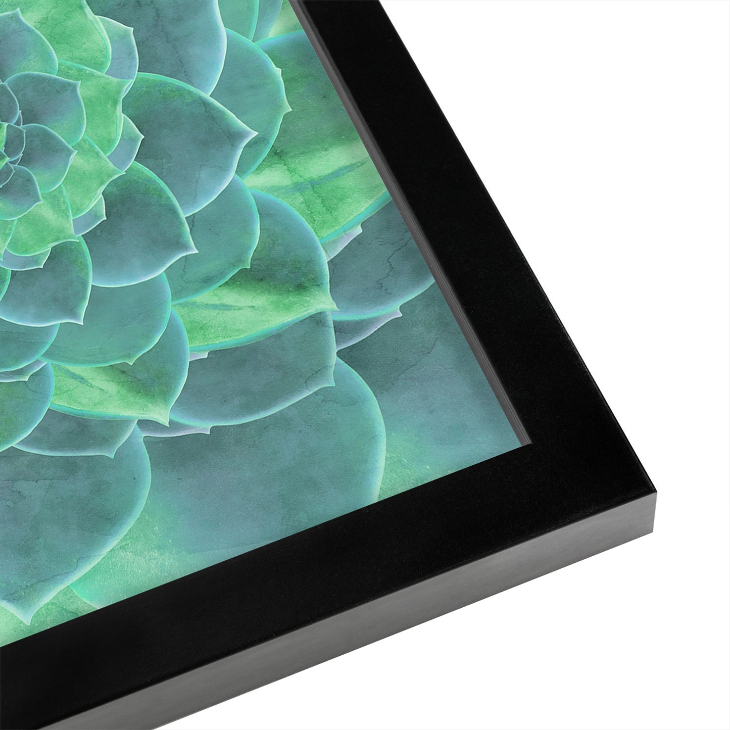 Geometric Succulent by Emanuela Carratoni - Framed Print