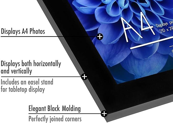 2-pack A-Sized Picture Frame (A2, A3, A4, A5) | A Frame Collection