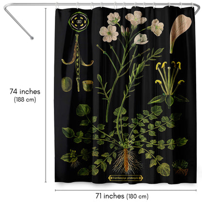 71" x 74" Boho Shower Curtain with 12 Hooks, Cuckoo Flower by Adams Ale
