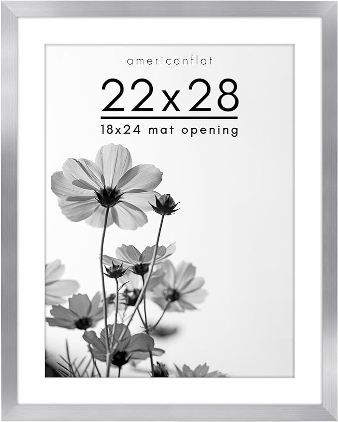 Oversized Gallery Picture Frame with Mat | Hudson Collection