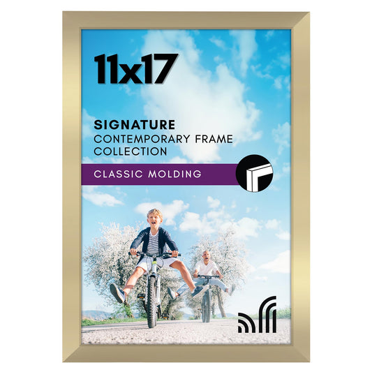 Metallic Picture Frame Without Mat, Glass Front - Americanflat